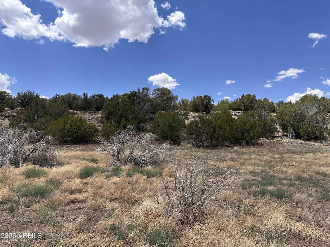 13 Acr 8122 #438, Concho, AZ 85924