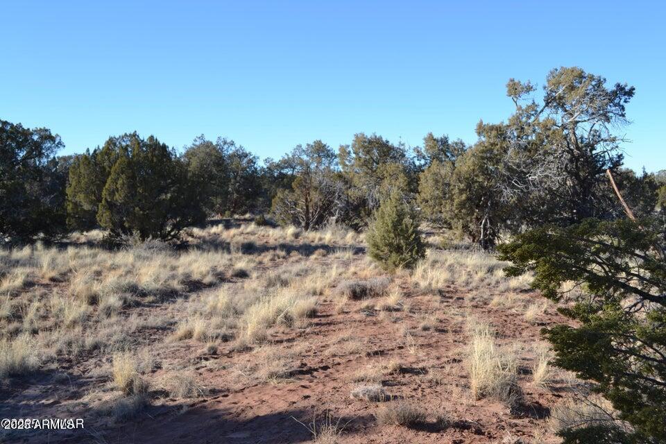 5450 County Line Rd. #N/A, Snowflake, AZ 85937