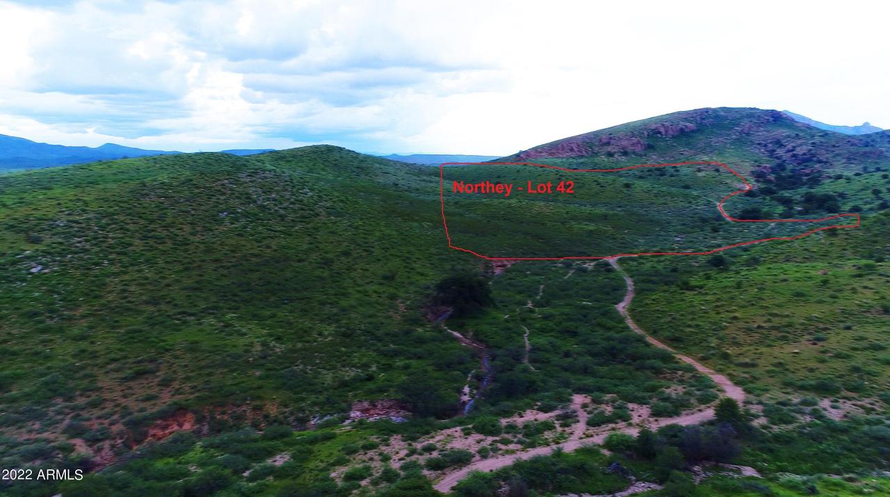 Lot 42 N Hidden Oaks Trail 39 Acres #42, Douglas, AZ 85607