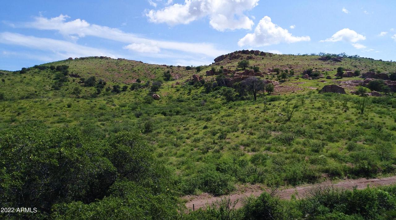 Lot 41 N Hidden Oaks Trail 39 Acres #41, Douglas, AZ 85607