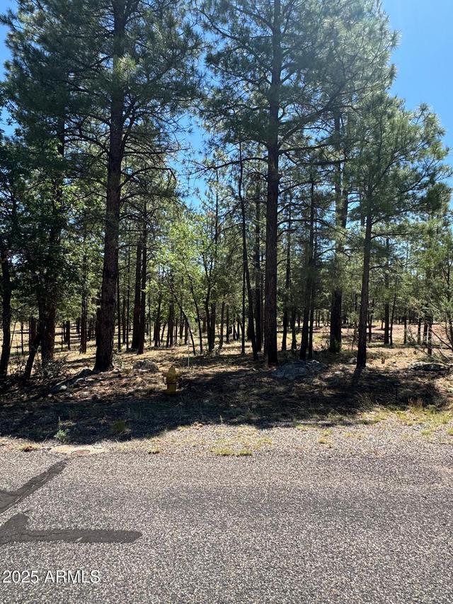 2887 Sparrow Dr. #21, Happy Jack, AZ 86024