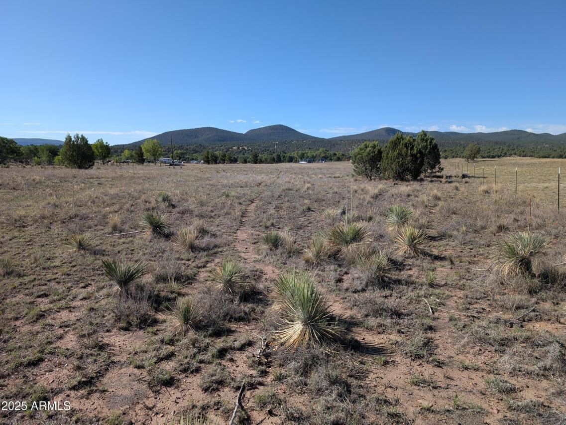 279 E Hubbard Ln. #-, Young, AZ 85554