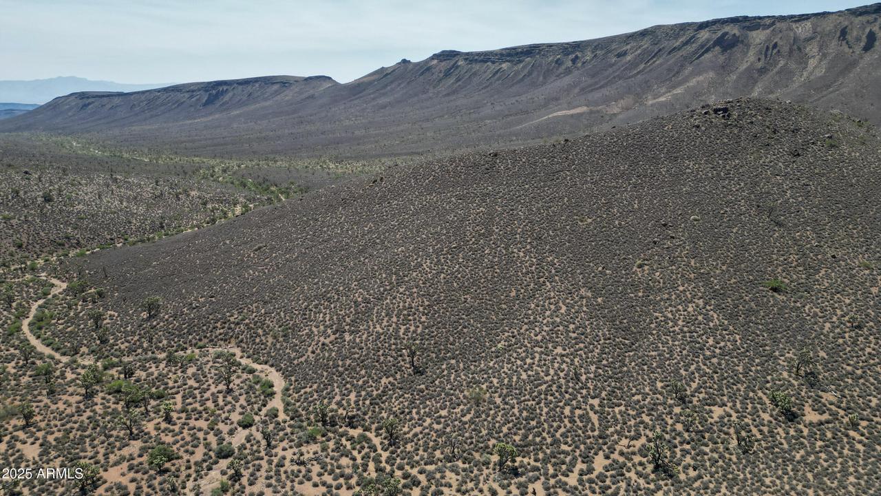 000 W Butcher Camp Rd. #-, White Hills, AZ 86445