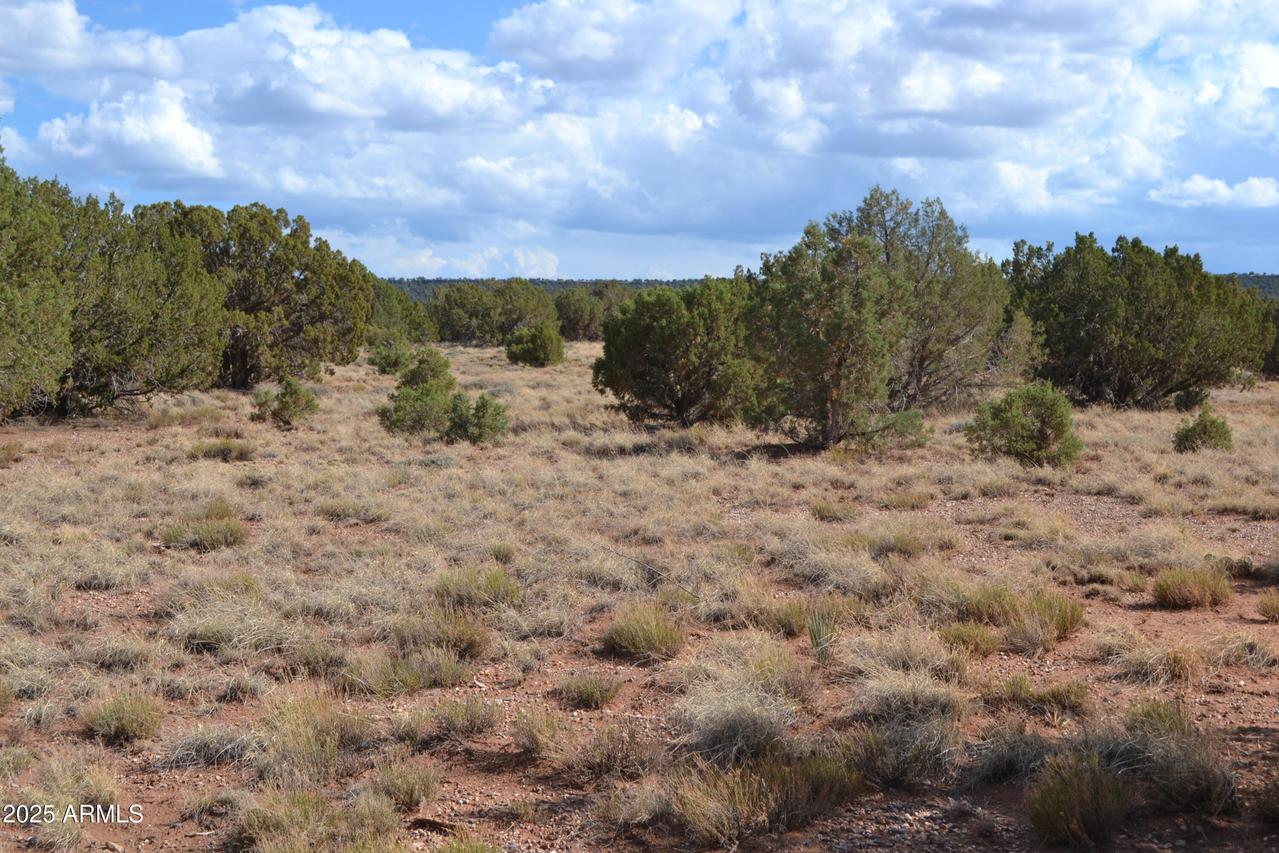 4161 Colt Rd. #273, Snowflake, AZ 85937