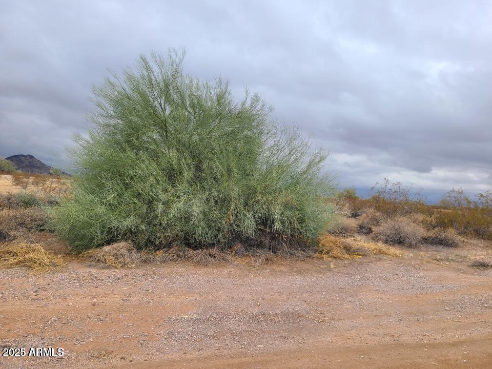 W Campbell Ave. #272, Tonopah, AZ 85354