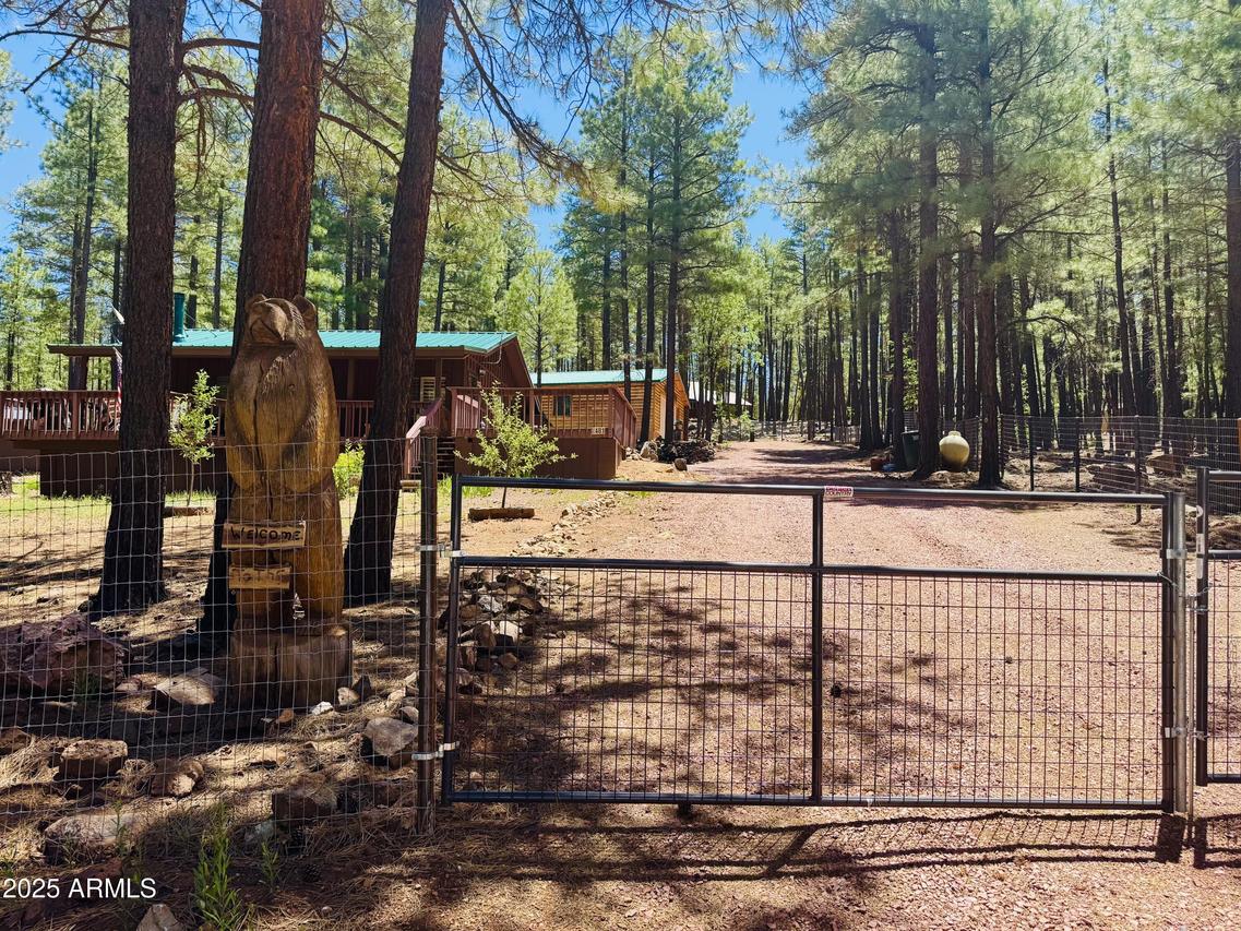 481 Long Valley Rd., Happy Jack, AZ 86024