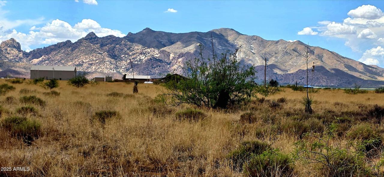 Lot 1 Willcox Rd. #1, Pearce, AZ 85625
