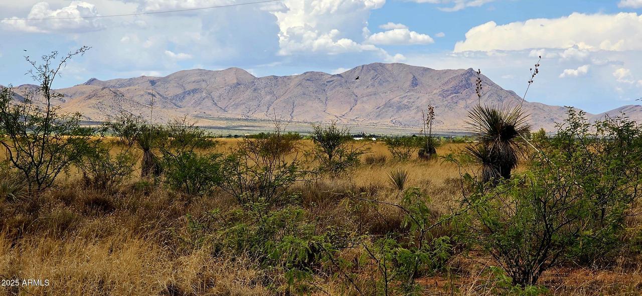 Lot 20 Willcox Rd. #20, Pearce, AZ 85625