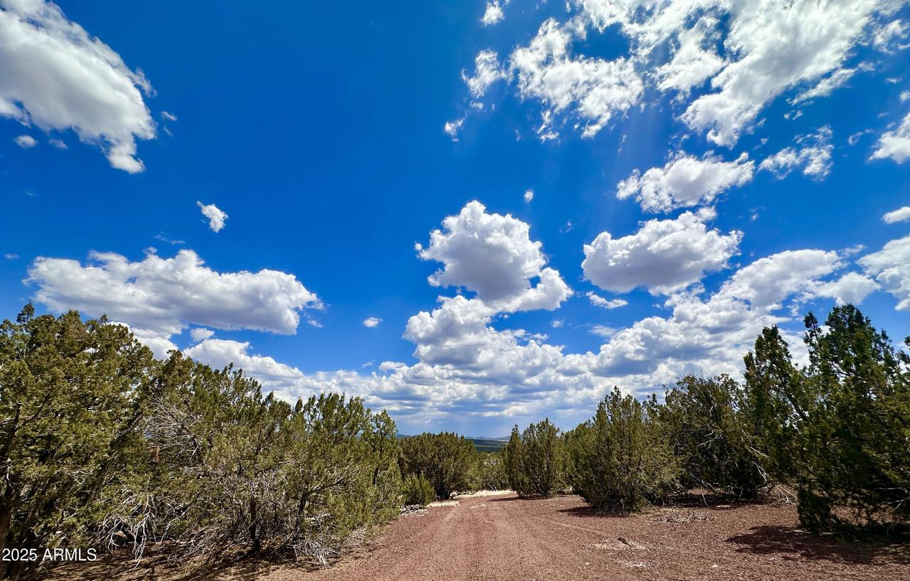 TBD County Rd N8157 #-, Concho, AZ 85924