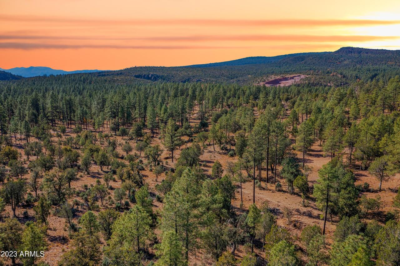 Fawn Dr. #5, Pine, AZ 85544