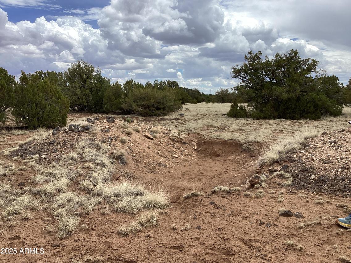 207 Acr 8056 Rd. #218, Concho, AZ 85924