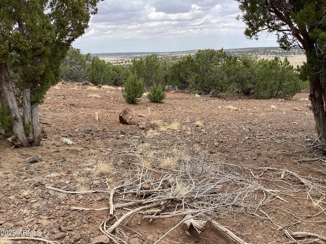 xxx Stanford Dr. #72, Concho, AZ 85924