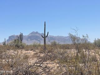 1440 N Idaho Rd. #1095, Apache Junction, AZ 85119