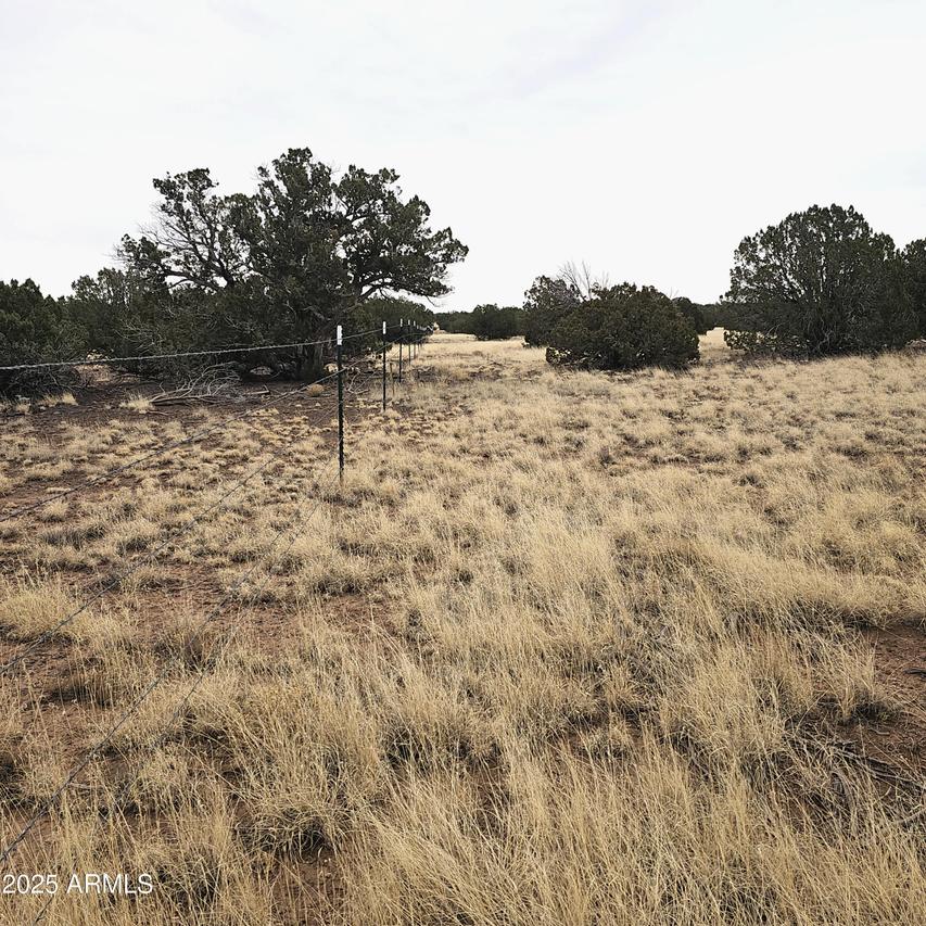 8387 High Plains Rd. #-, Show Low, AZ 85901