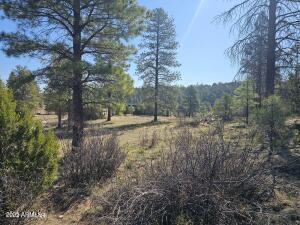 3326 Black Canyon Rd. #-, Heber, AZ 85928