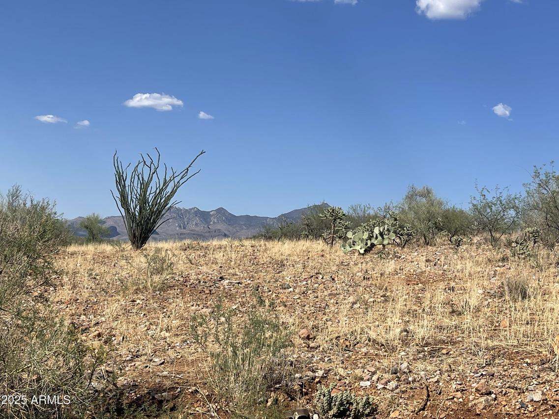 52 Calle Dinamarca #21, Rio Rico, AZ 85648