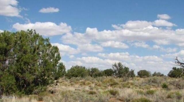 tbd Chevelon Canyon Ranch 363 #363, Heber, AZ 85928