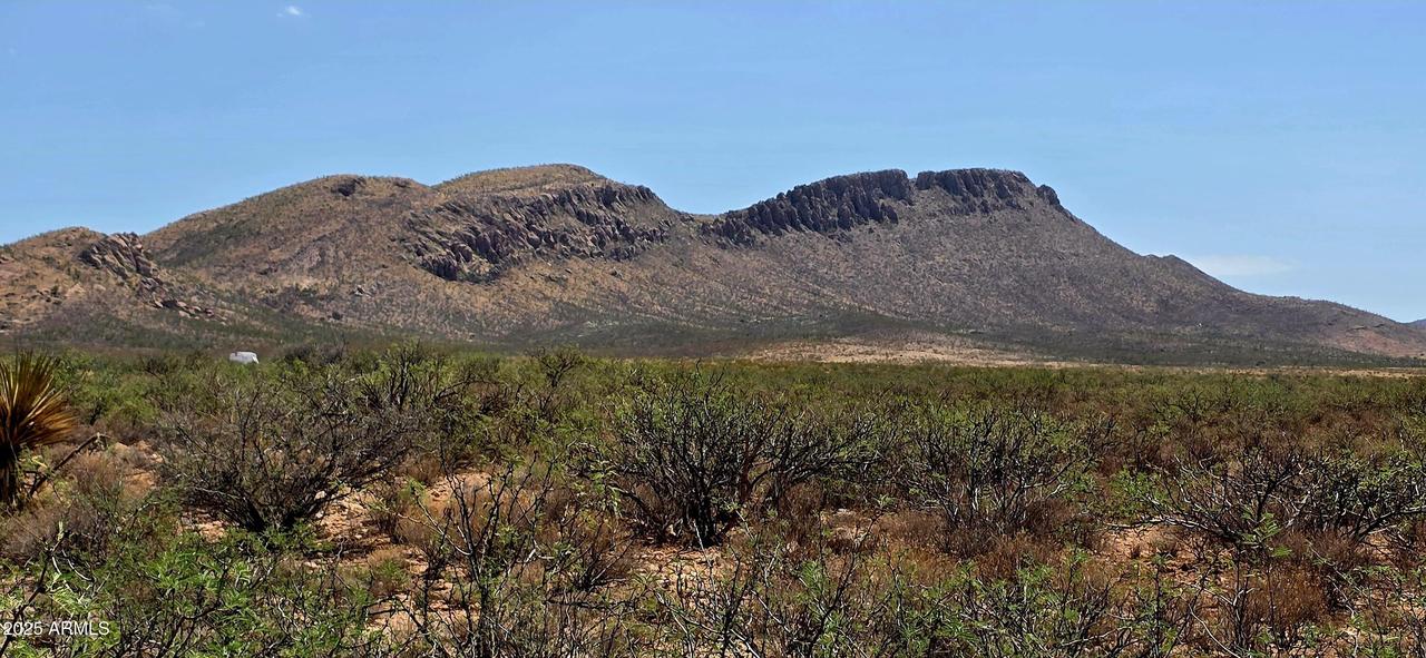 Lot 286 N Calle Del Prado #286, Douglas, AZ 85607