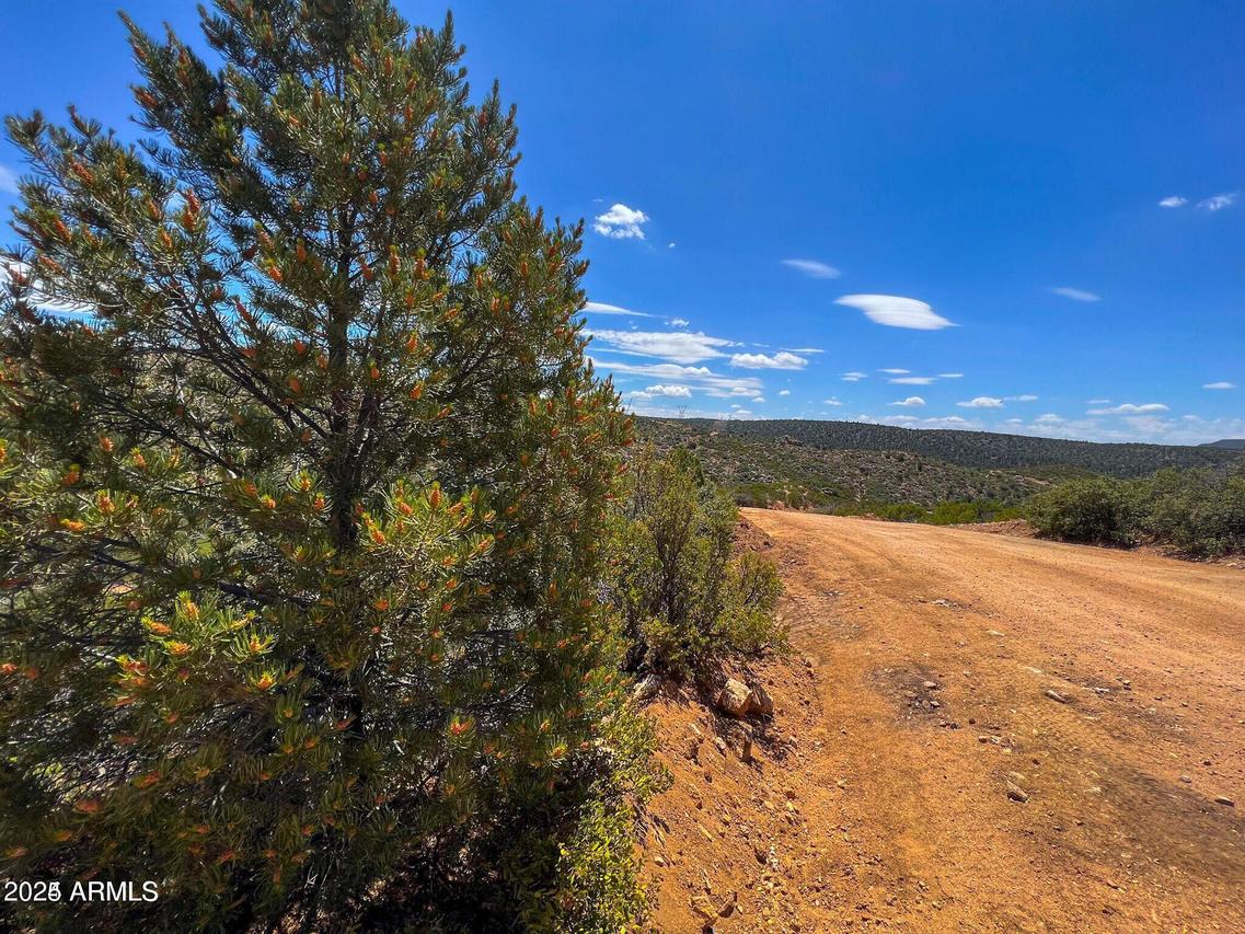 Velvet Antler 35.7 Acres #137, Kingman, AZ 86401