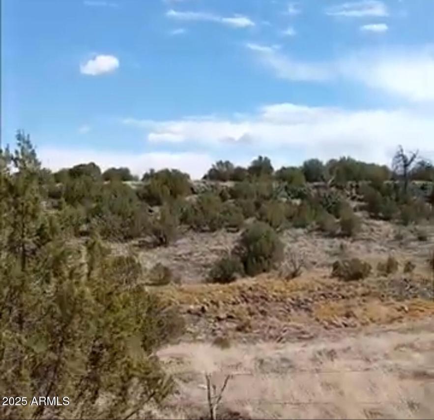 8594/8588 Bobcat Dr. #1, Show Low, AZ 85901