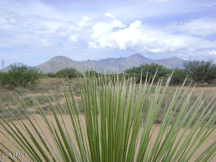 0000 E Cactus Ranch Rd. #16F, Hereford, AZ 85615