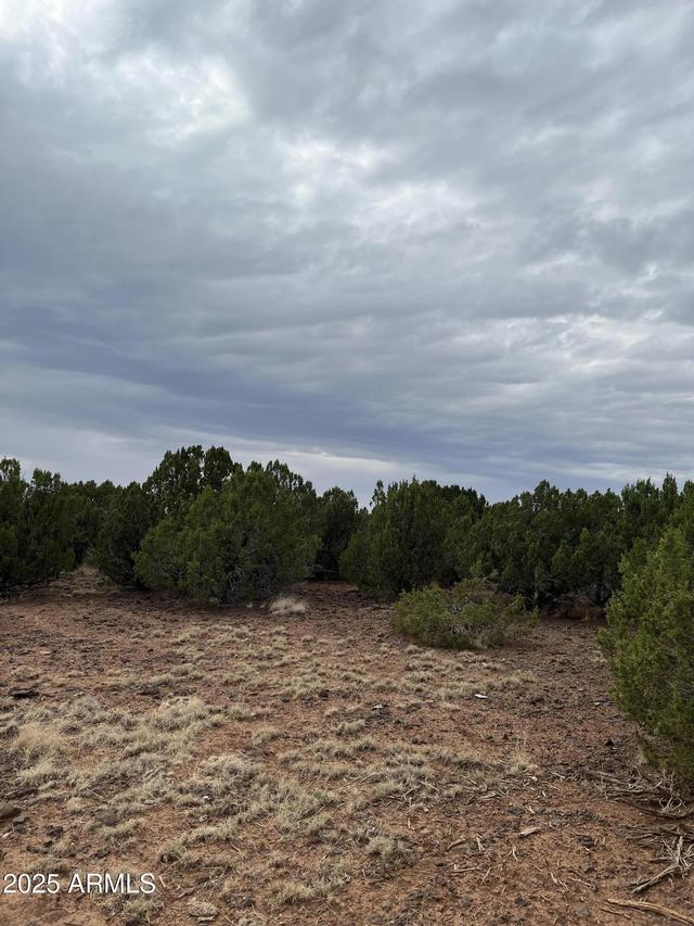 8776 Clark Rd. #-, Show Low, AZ 85901