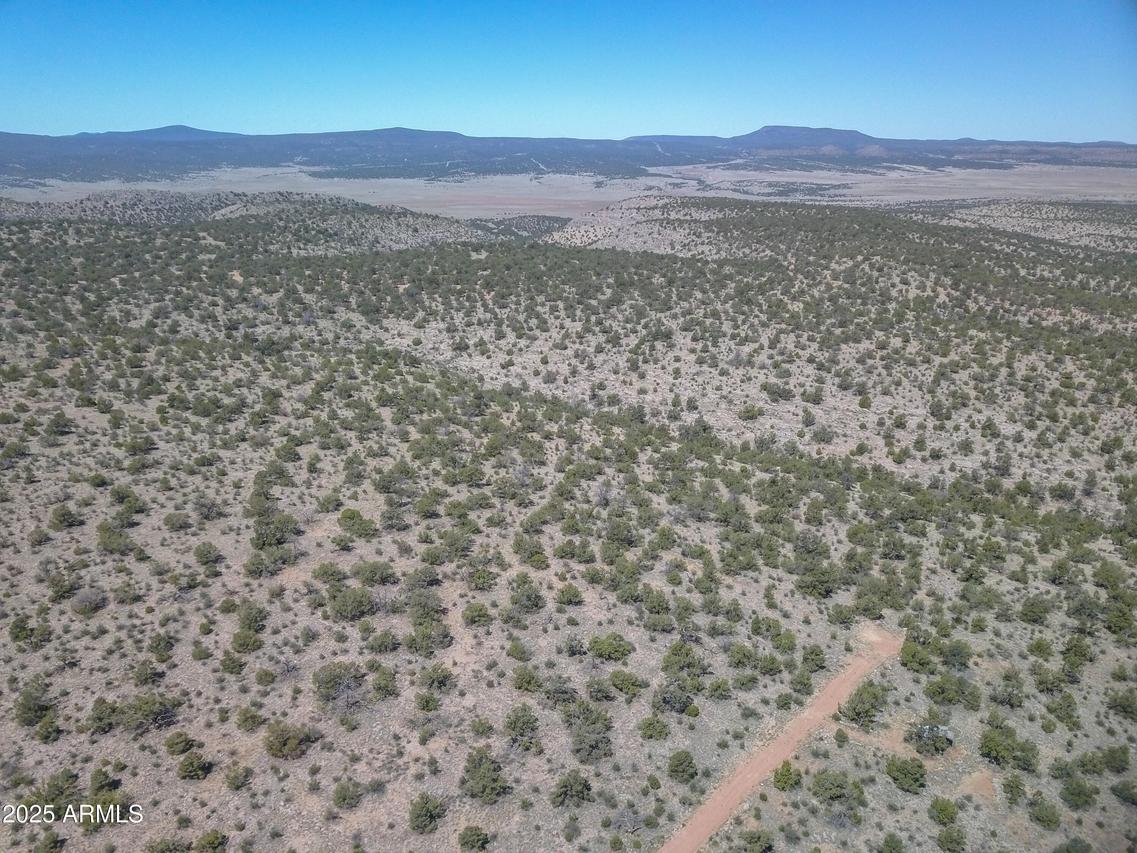 193 W Everwood Tr. #702, Seligman, AZ 86337