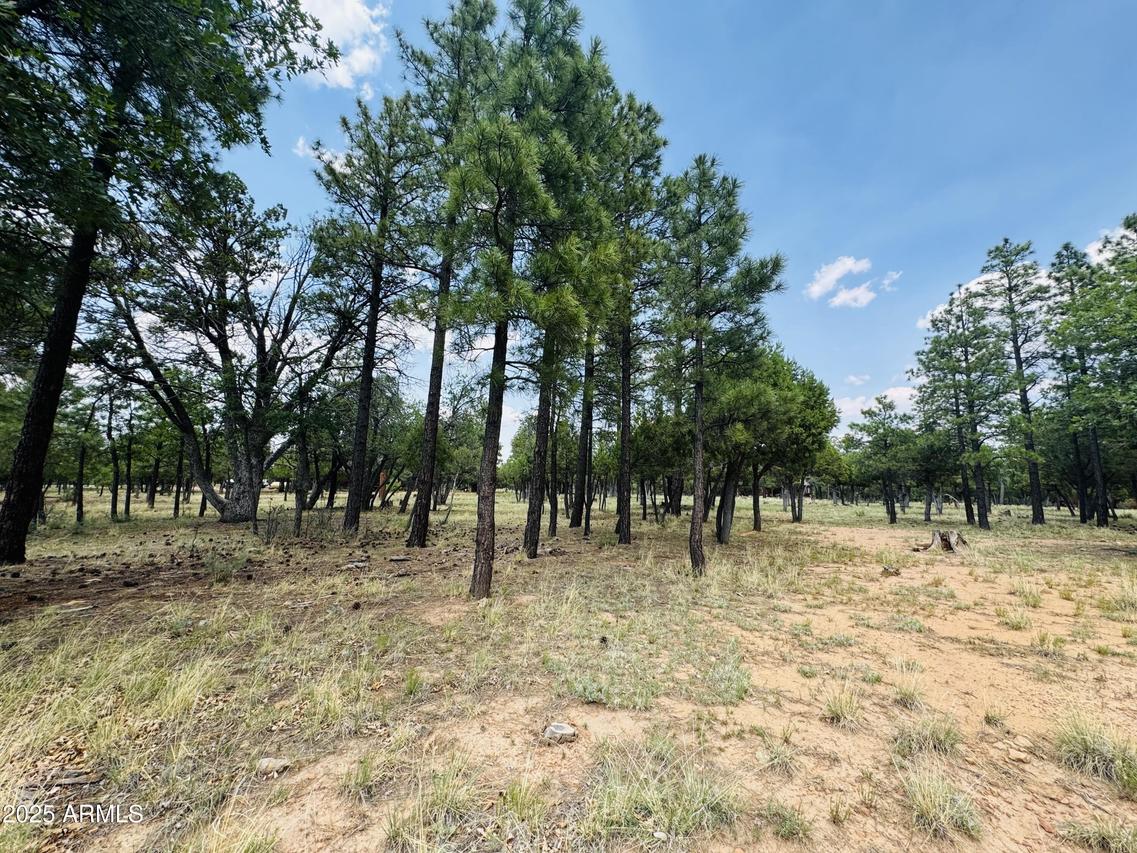 3236 Durango Dr. #6, Happy Jack, AZ 86024