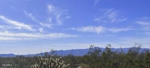 17XXX S Douglass Dr. #64, Yucca, AZ 86438
