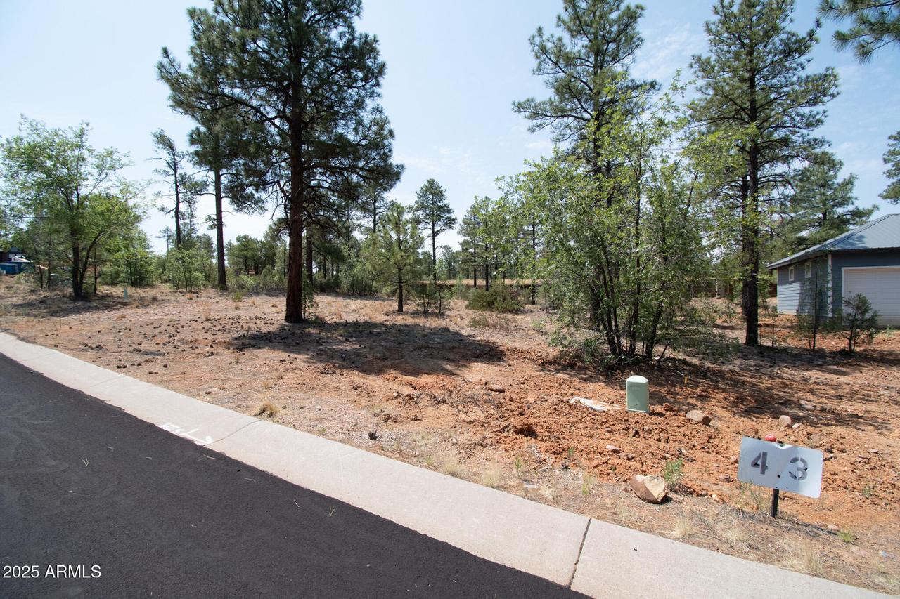 381 E Huckleberry Ln. #4, Show Low, AZ 85901