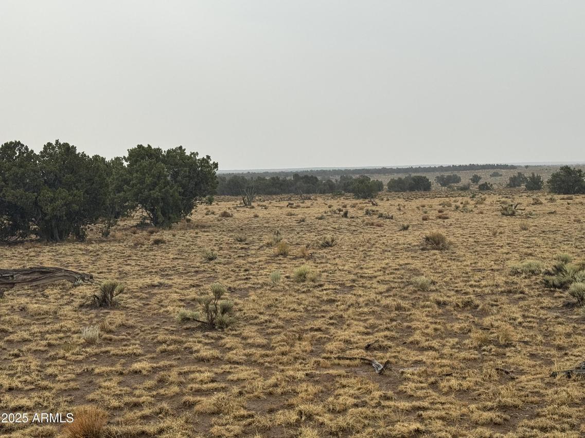 Lot 365 Arizona Park Estates Unit Iii #365, St Johns, AZ 85936