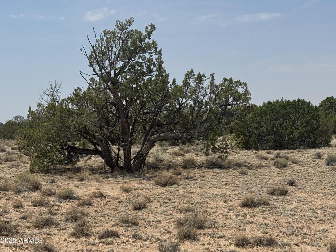 N7200 Parcel # 205-32-004a #004A, St Johns, AZ 85936