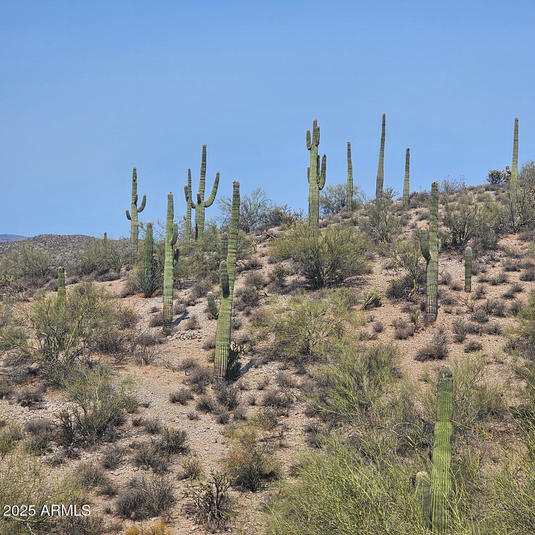 5xxxx N 292nd Ave., Wickenburg, AZ 85390