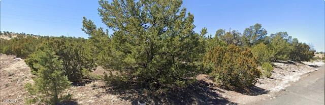 - W Snowline Dr., Eagar, AZ 85925