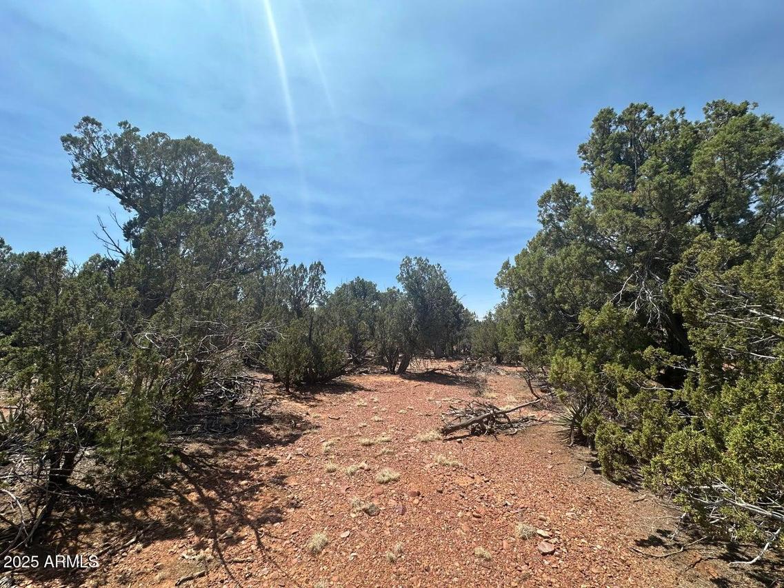 Lot #2 Power Line Rd. #S, Heber, AZ 85928