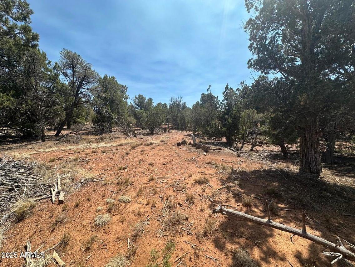Lot #2 Power Line Rd. #S, Heber, AZ 85928