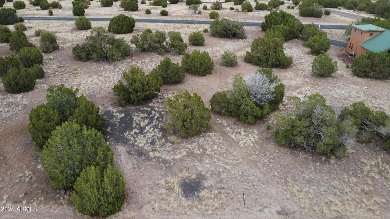 1927 Creekside Cir. #92, Show Low, AZ 85901