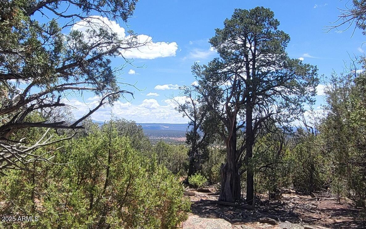 7130 E Forest Service 268 B Rd. #895, Williams, AZ 86046