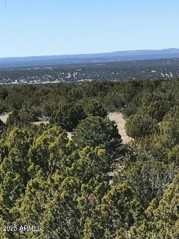 Lot 20 Idlewild Ranch #20, Concho, AZ 85924