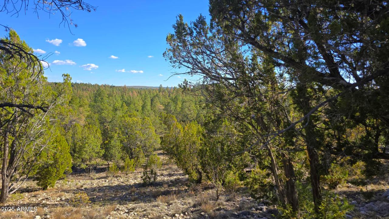 2947 E Lookout Ln. #339, Overgaard, AZ 85933