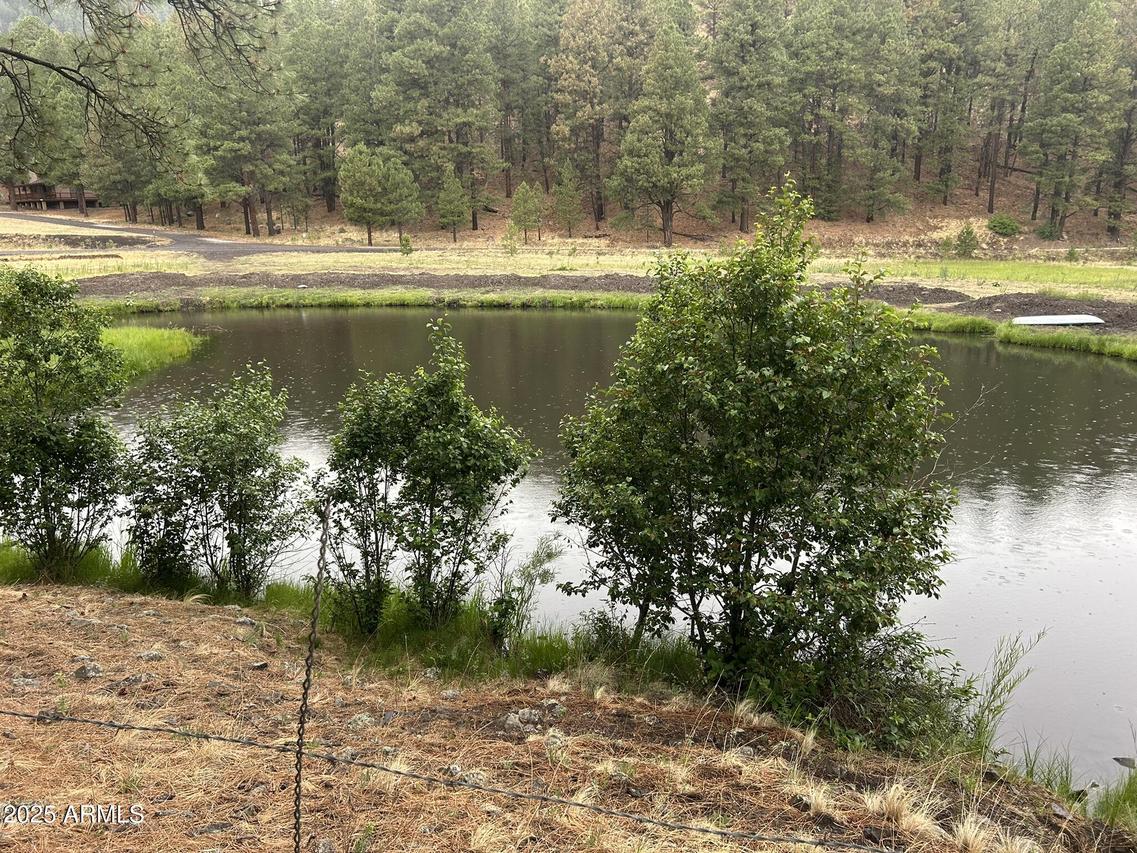 3 County Road N1029, Greer, AZ 85927