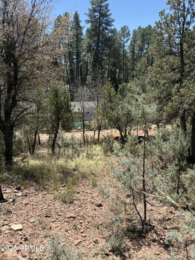 N Randall Dr. #11, Pine, AZ 85544