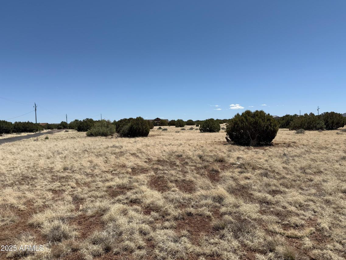 8481 Alpine Pl. #34, Show Low, AZ 85901