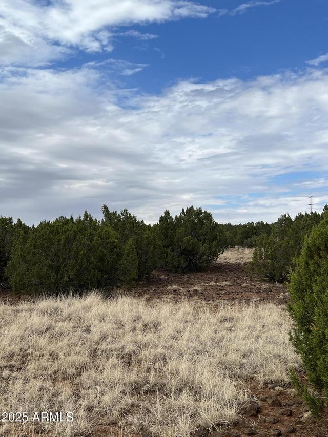 8766 Clark Rd. #-, Show Low, AZ 85901