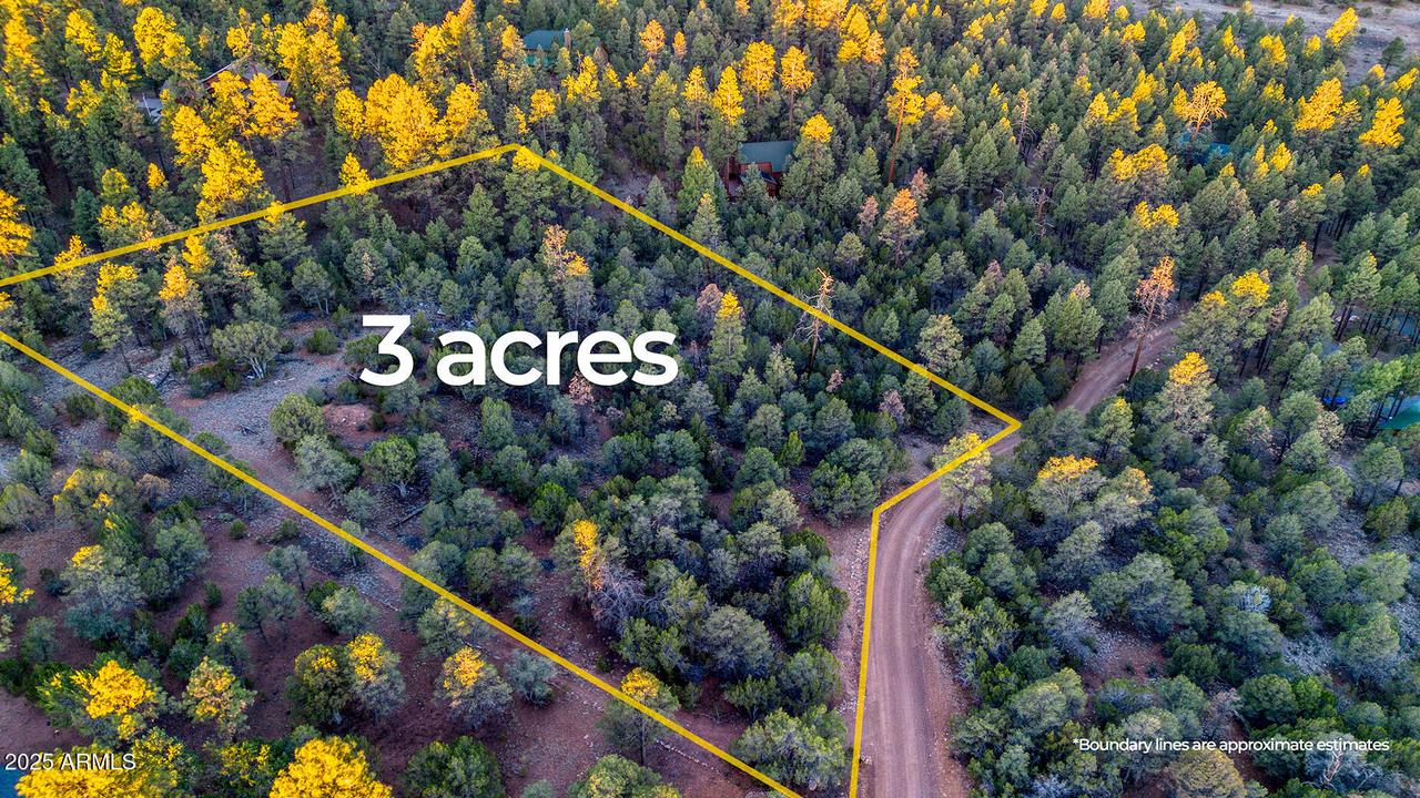 2333 Elk Ridge Ln. #004H, Overgaard, AZ 85933