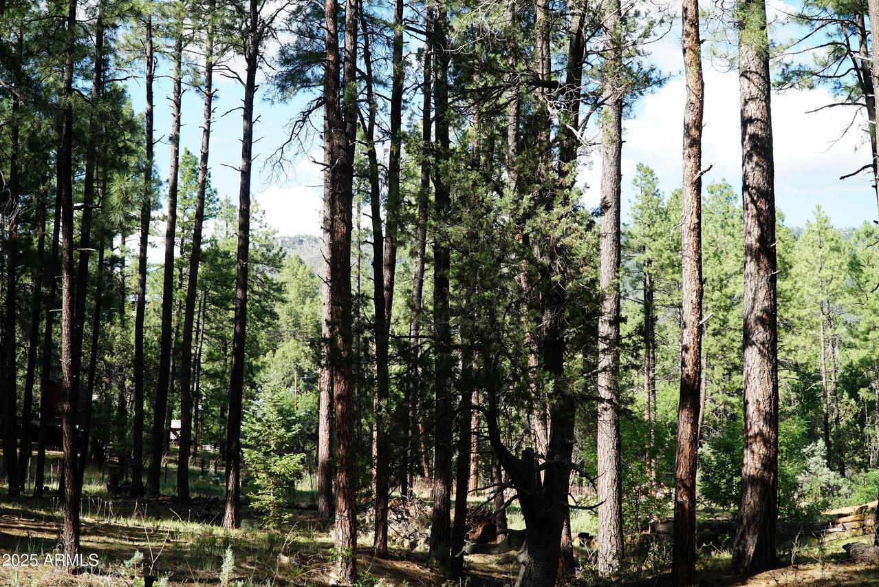 196 W Mockingbird Ln. #Parcel 2, Payson, AZ 85541