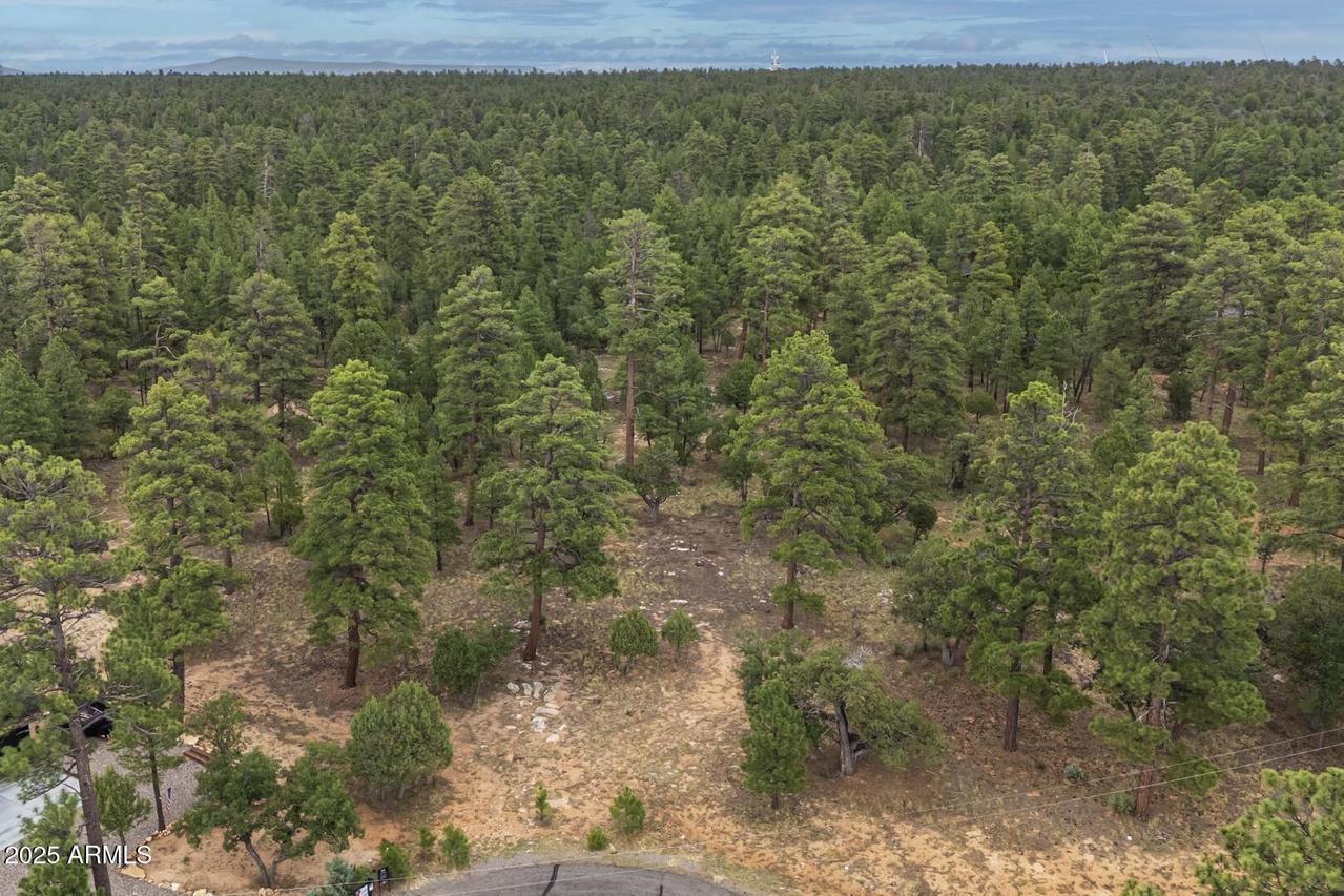 2961 Eagle Ridge Cir. #118, Happy Jack, AZ 86024