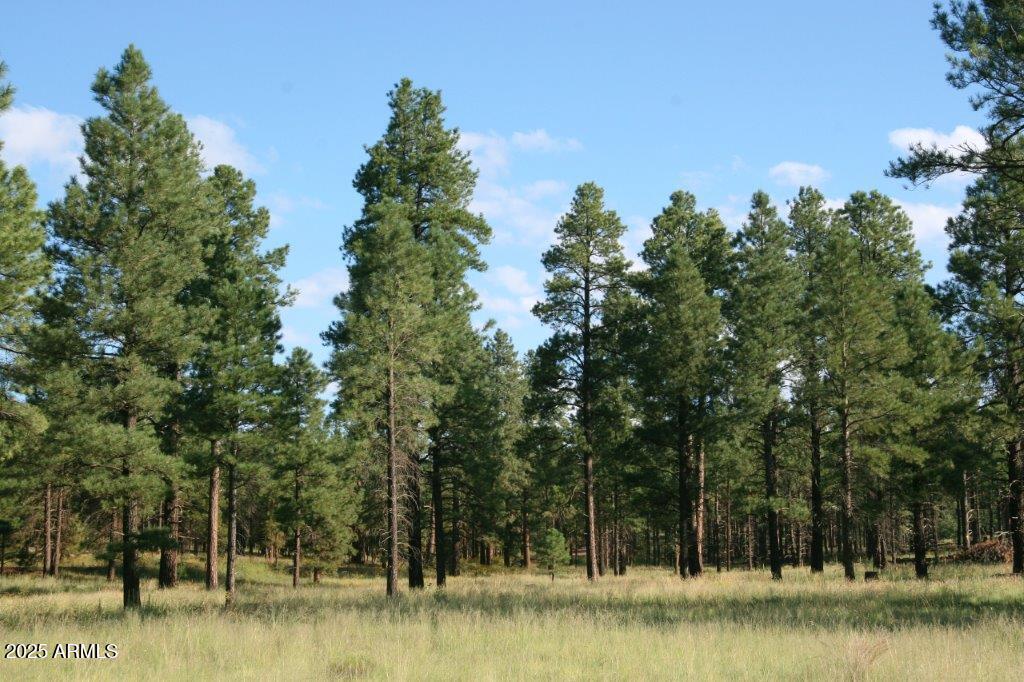 7337 Forest Service Rd 122 #Tract 1-B, Happy Jack, AZ 86024