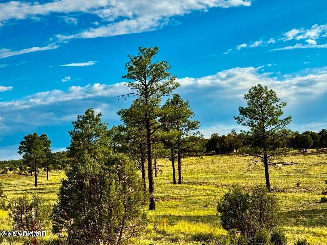 TBD Flake Rd Lots L & P 2.54 Acres #-, Aripine, AZ 85933