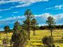 New Homes For Sale This Week in Aripine: July 25th to July 31st